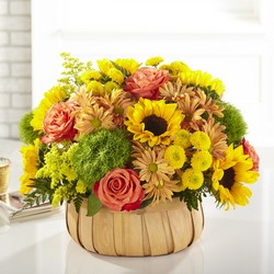 The Harvest Sunflower Basket  from Clifford's where roses are our specialty